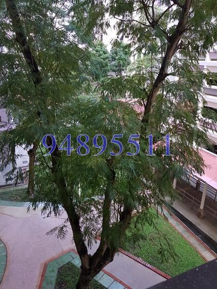 Blk 16 Jalan Tenteram (Kallang/Whampoa), HDB 4 Rooms #161716052